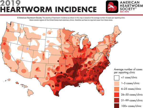 2019 heartworm incidence map