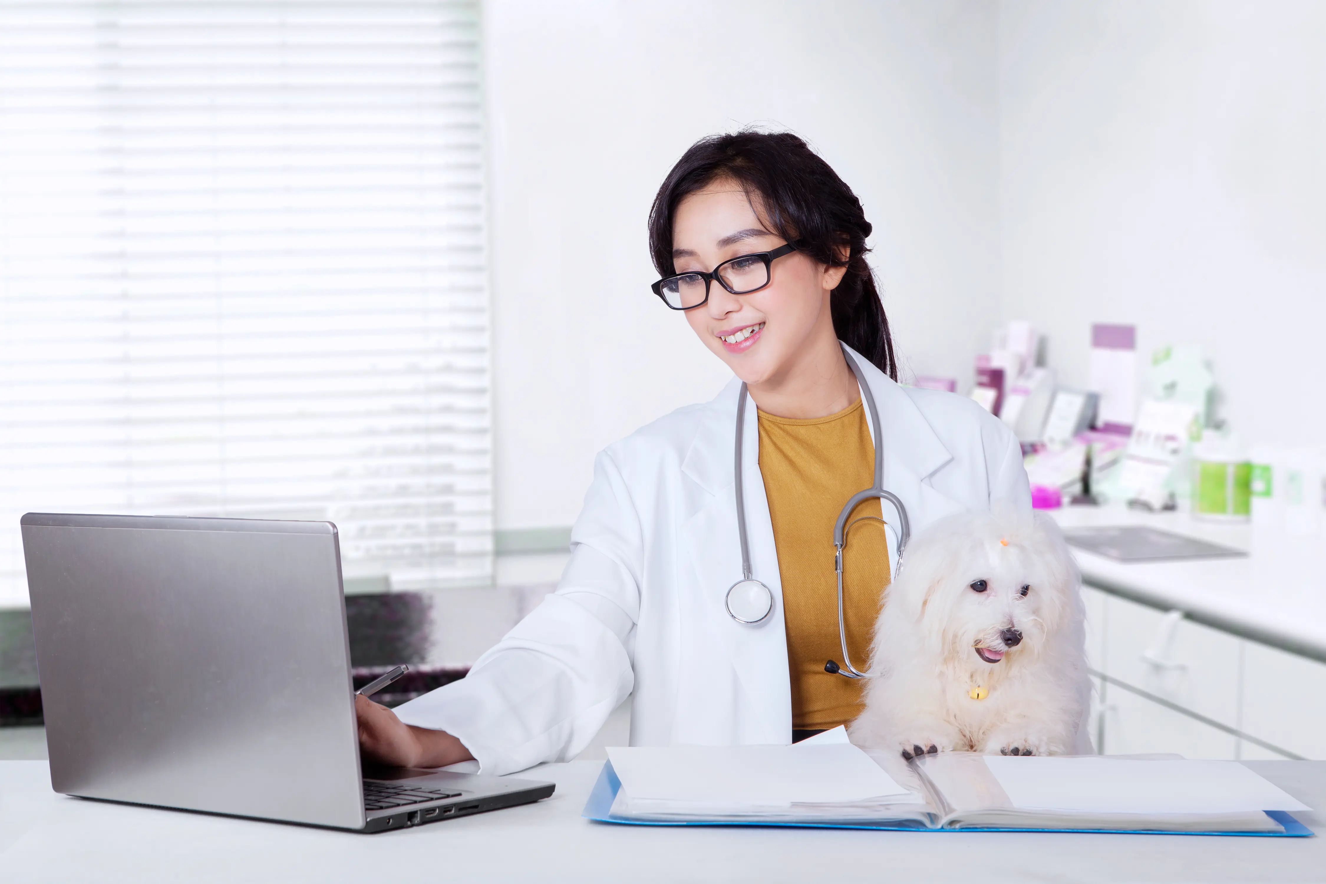 Vet in lab coat holding a white dog while working on cumputer
