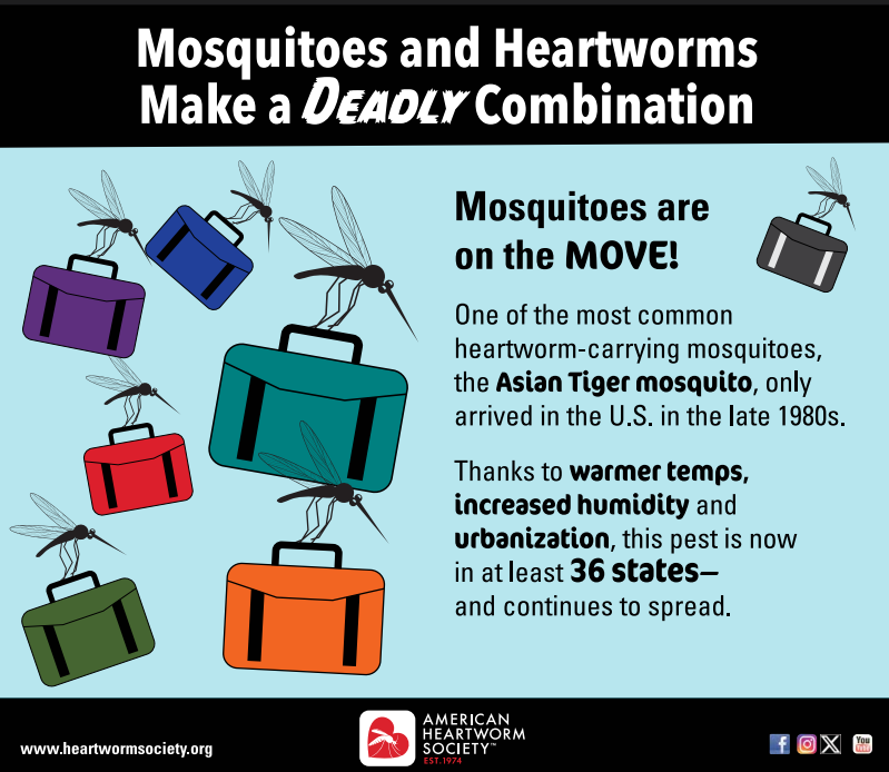 Mosquitos flying with suitcases