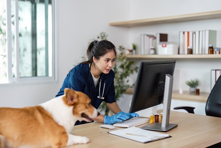 Vet on computer with dog
