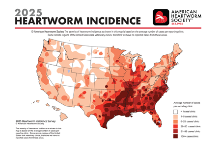 2025 Heartworm Incidence Map