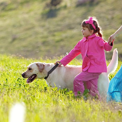 Take it Outside; A Top Ten List for Summertime Pet Care