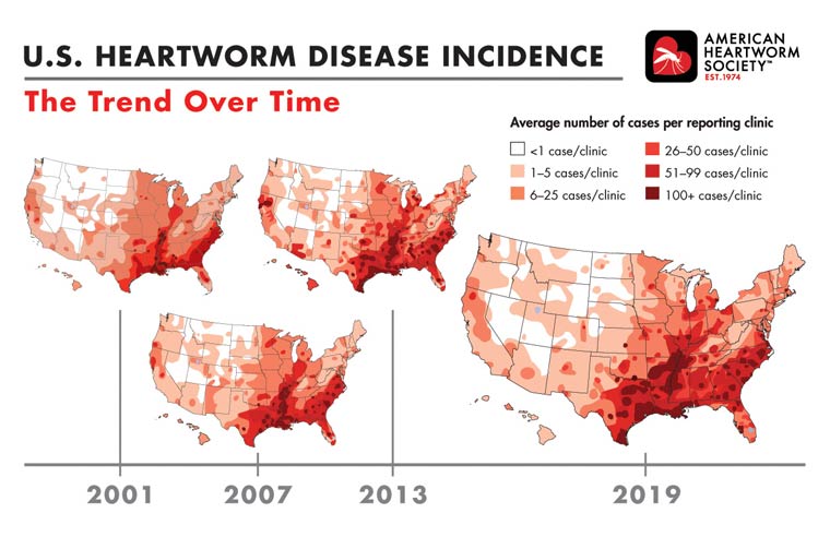 Heartworm prevalent in South, expanding in other hot spots