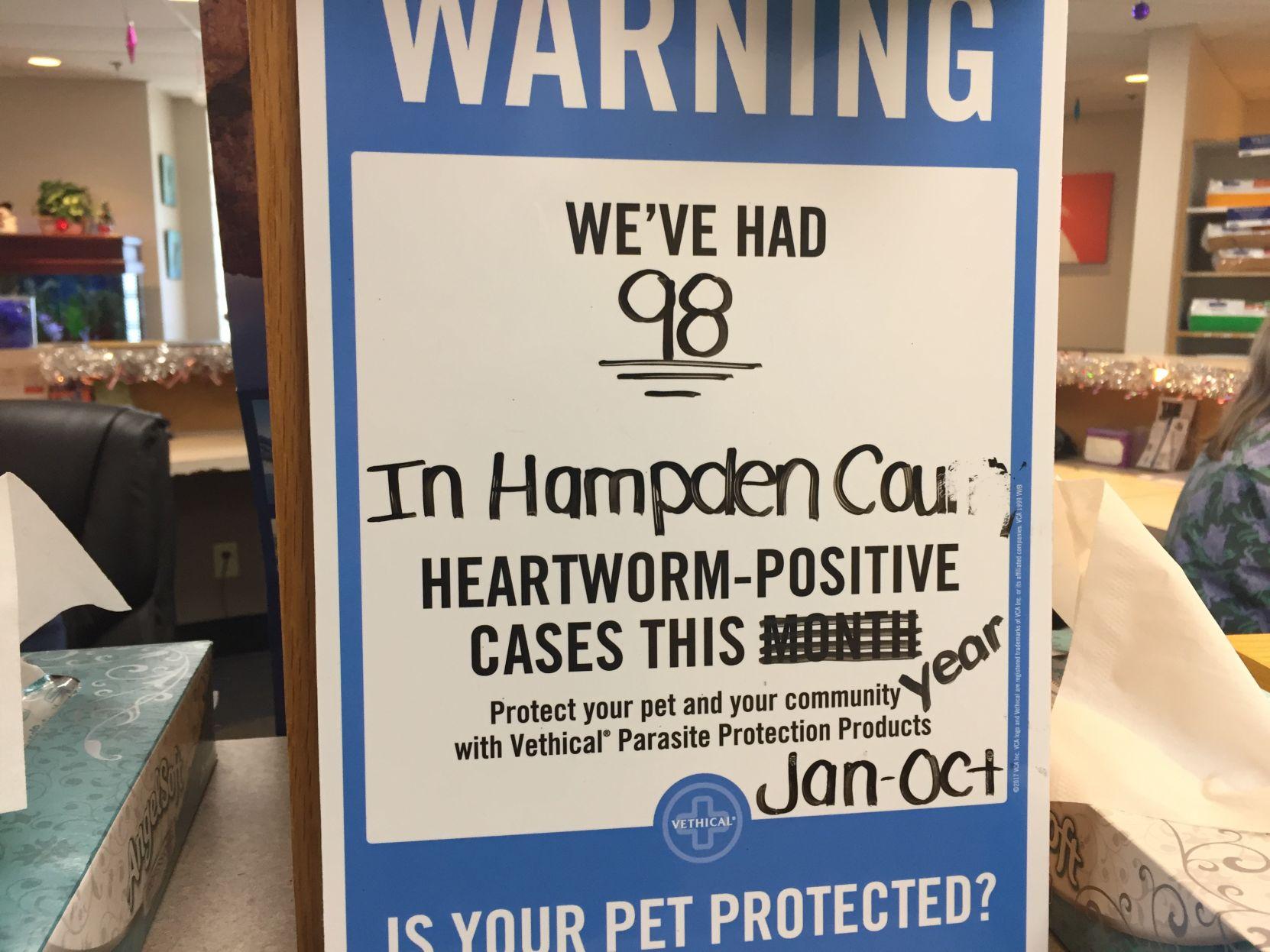 Local Veterinarian Explains Rise in Heartworm Cases