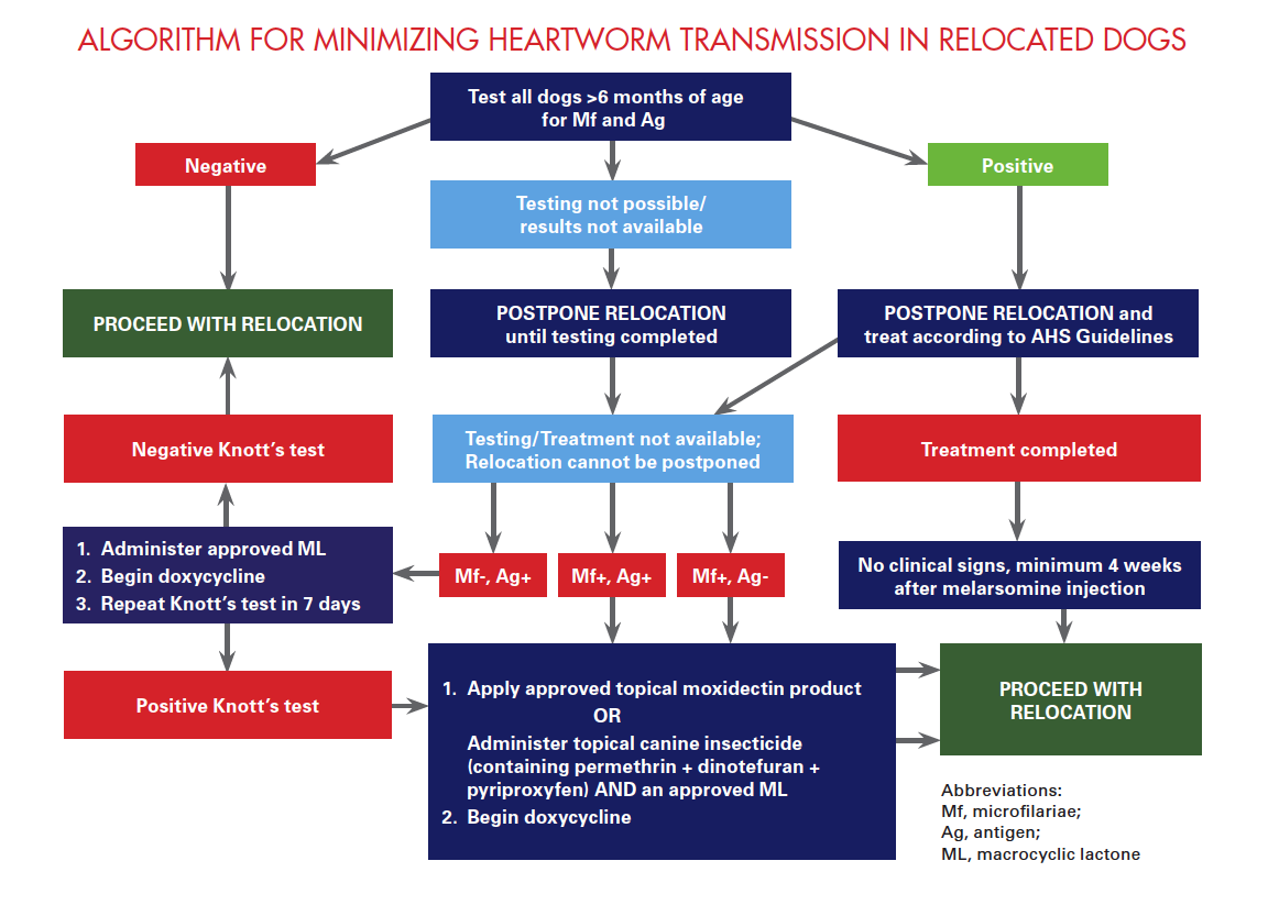 Moxidectin 2024 heartworm treatment