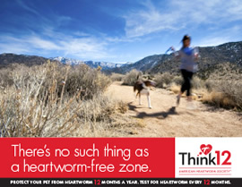 Think 12 Series: There's no such thing as a heartworm free zone. (Desert)