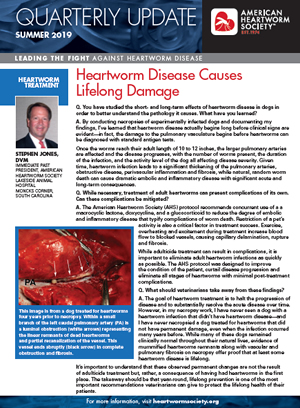 Heartworm Disease Causes Lifelong Damage - American Heartworm Society