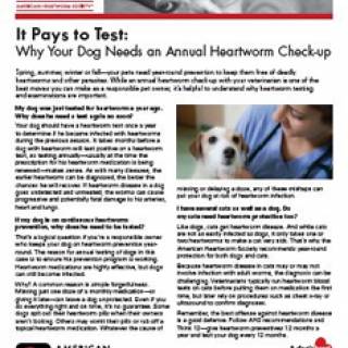 Why Your Dog Needs an Annual Heartworm Check-up