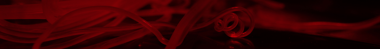 AHS Heartworm Hotline Beyond the - Worms%20IMG 7718.slice 