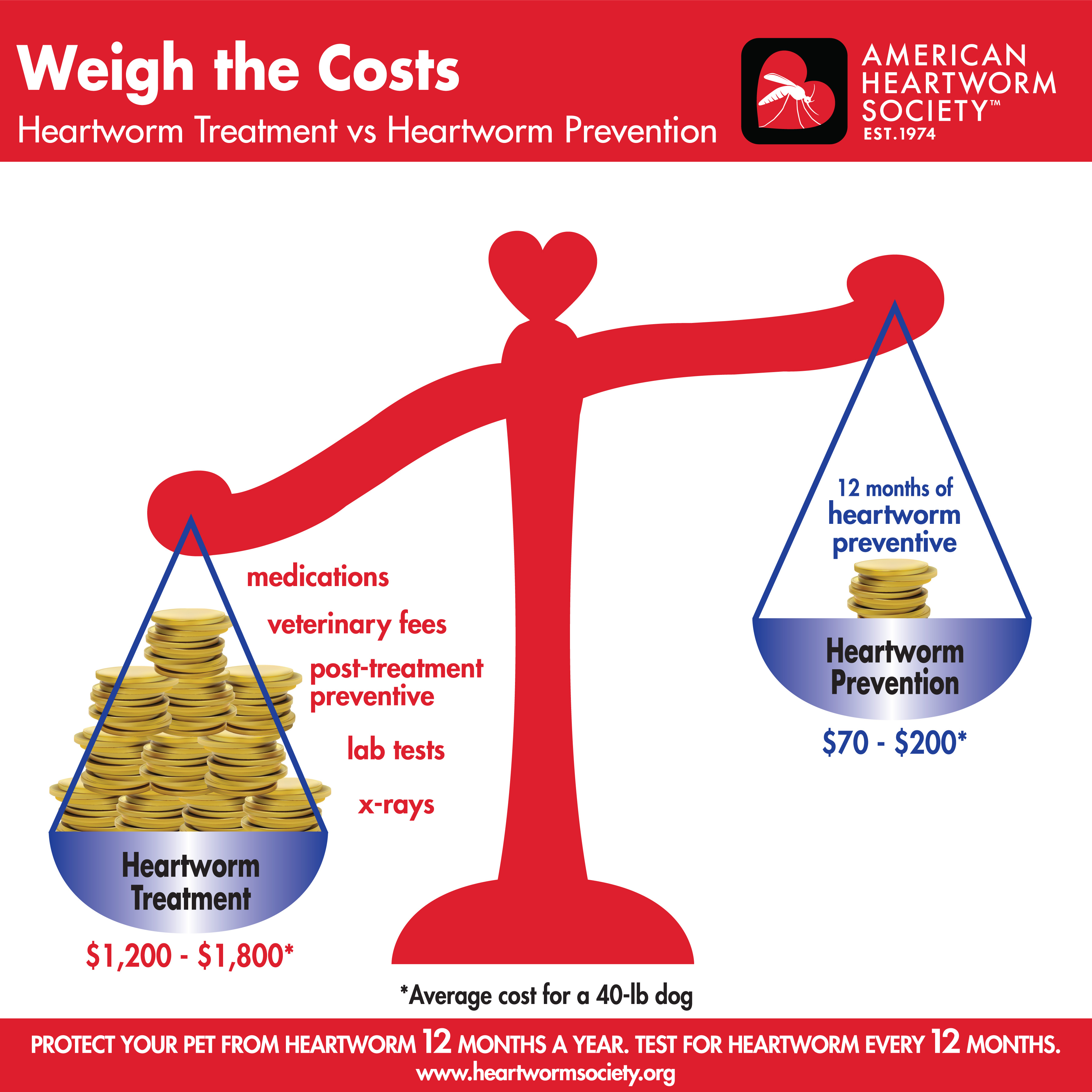 How often are heartworm medication taken