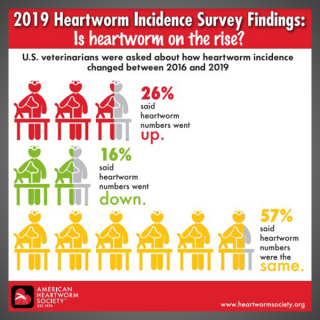 Is Heartworm on the Rise?