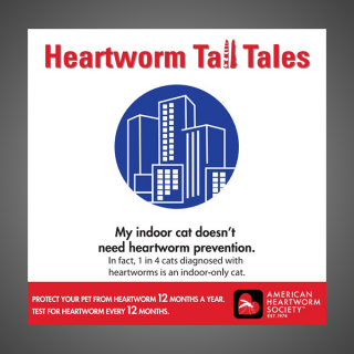 Heartworm Tall Tales - Indoor