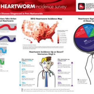 Significance of Heartworm Disease