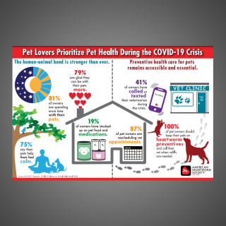 Pet Lovers Prioritize Pet Health During the COVID-19 Crisis
