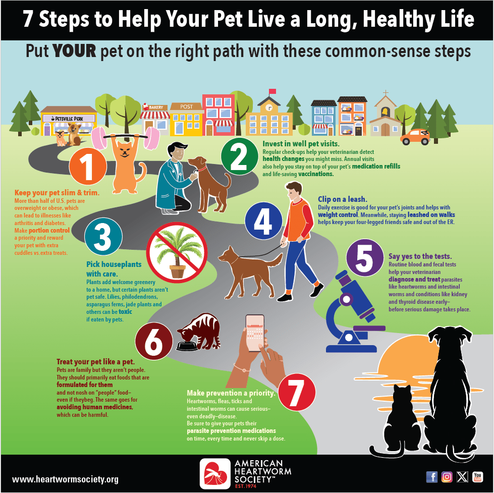 7 Steps to Help Your Pet Live a Long, Healthy Life
