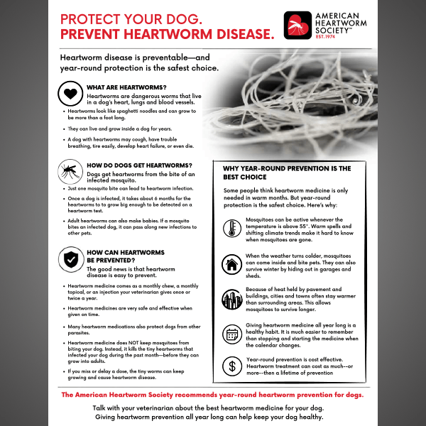 Canine Heartworm Fact Sheet -Color
