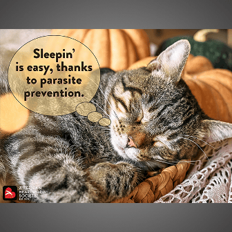 Sleeping is Easy