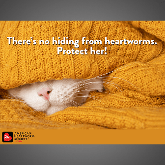 There's No Hiding