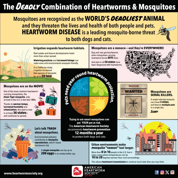 Images depicting all the ways mosquitoes are the world&rsquo;s deadliest animal