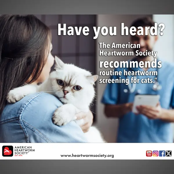 Womanholding cat on shoulder while talking to vet