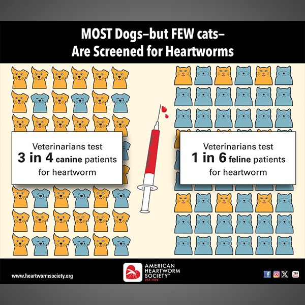 dog and cat graphics show the differences between the percentages of veterinarians recommmending year-round heartworm prevention in dogs vs. cats.
