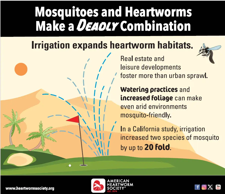 Golf course image with sprinklers spraying water and mosquito flying