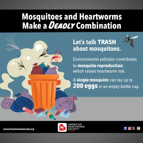 overflowing trashcans with mosquito flying around