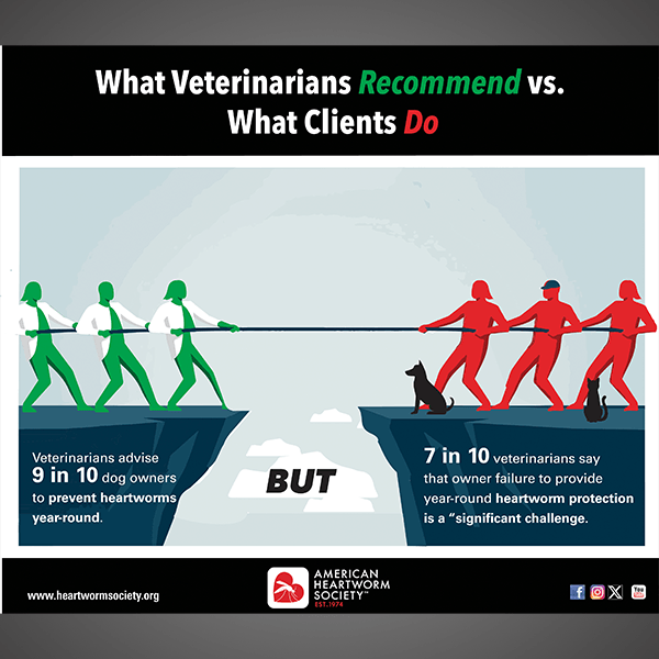 Veterinarians and pet owners in a tug of war over heartworm prevention