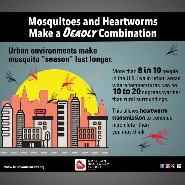 City skyline with mosquitos flying around