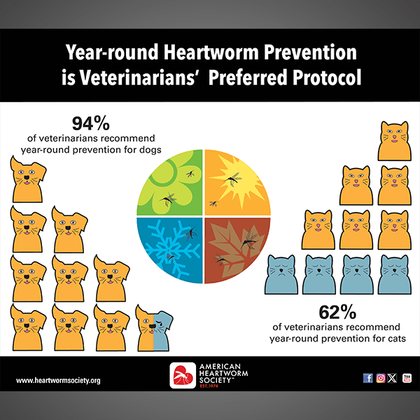 Veterinary Survey Infographic: Year-round Heartworm Prevention is Veterinarians Preferred Protocol