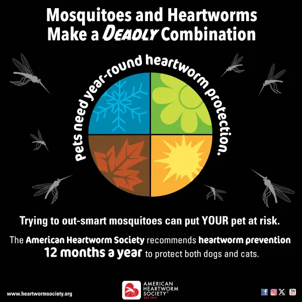 Globe with four seasons delineated and protected from mosquitos 