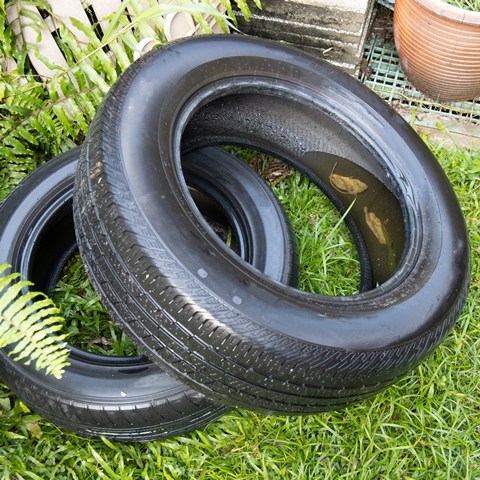 Image of tire with standing water