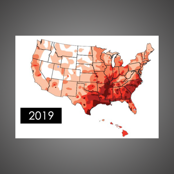 The States of Heartworm Incidence