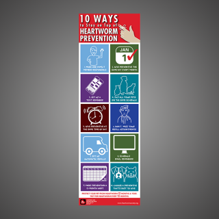 10 Ways to Stay on Top of Heartworm Prevention
