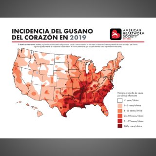 2019 Heartworm Incidence Map (Spanish)