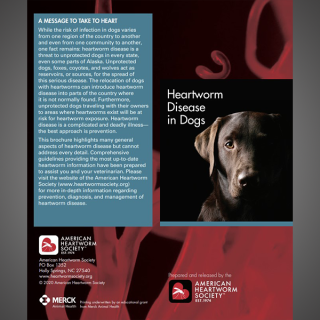 Client Brochure: Heartworm Disease In Dogs