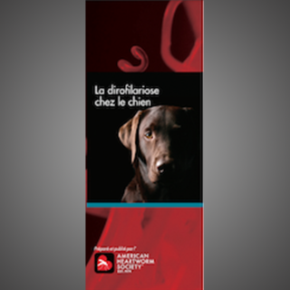 Client Brochure: Heartworm Disease In Dogs (French)