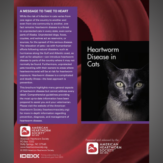 Client Brochure: Heartworm Disease In Cats