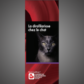 Client Brochure: Heartworm Disease In Cats  (French)