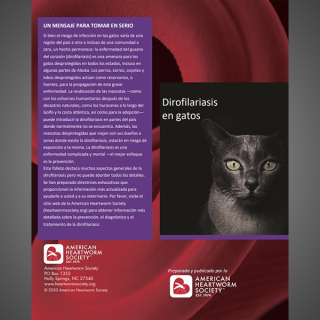Client Brochure: Heartworm Disease In Cats  (Spanish)