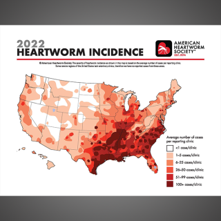  New AHS Heartworm Incidence Map