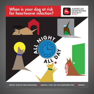 24 Hour Risk Graphic: Dog
