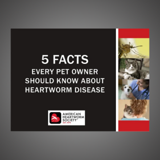 5 Facts Every Pet Owner Should Know About Heartworm Disease