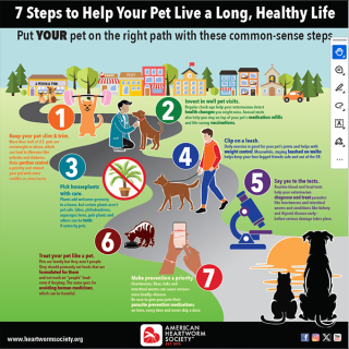 7 Steps to Help Your Pet Live a Long, Healthy Life
