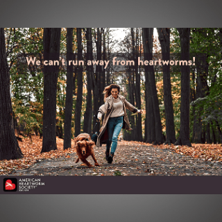 Woman and dog running through woods