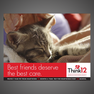 Think 12 Series: Best friends deserve the best care. (Cat)