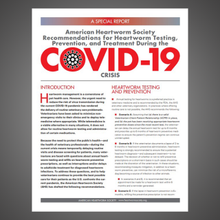 COVID-19 AHS Recommendation (April 2020)