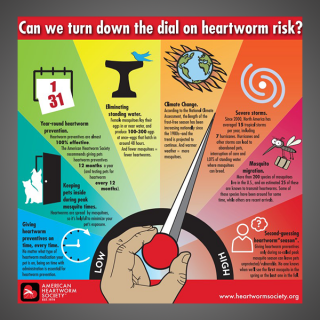 Can we turn down the dial on heartworm risk?
