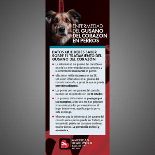 Canine brochure front in Spanish 
