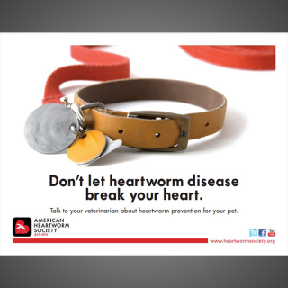 Don't let heartworm disease break your heart (empty collar)